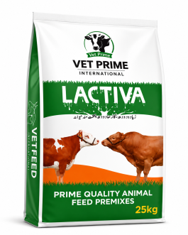 LACTIVA – Milk Enhancer