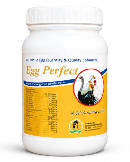 OVI PLUS Egg Perfect Layer Supplement