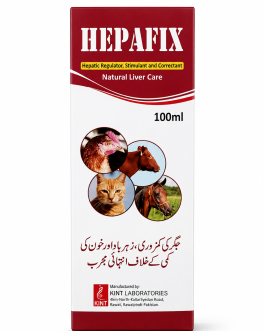 Hepafix Animal Liver Care
