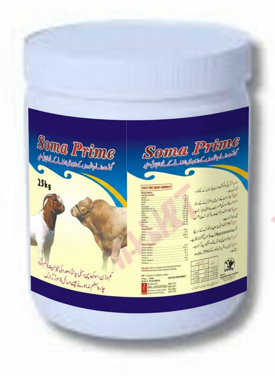 Soma Prime, livestock weight gain supplement, beef cattle feed, show animal nutrition, muscle growth supplement, cattle feed booster, veterinary livestock supplement, Vet Prime International, goat weight gain formula, animal growth booster