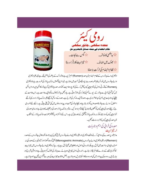 Vet prime rumi care 2