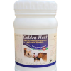 Golden Heat Ensure Pregnancy