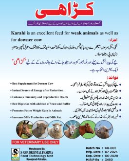 Karahi Feed 3Kg – Best Supplement for Downer Cows & Weak Animals | Energy & Recovery Booster by Vet Prime International