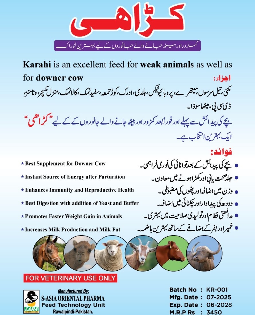 Karahi Feed – Best Supplement for Downer Cows & Weak Animals | Energy & Recovery Booster
