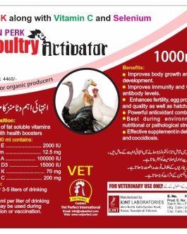 AVN PERK Poultry Activator – Best Poultry Supplement & Immunity Booster in Pakistan | Vet Prime International