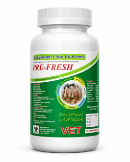 Pre-Fresh 1 Liter | Pregnacare Close-Up Premix for Udder Development, Milk Production & Smooth Calving | Vet Prime International