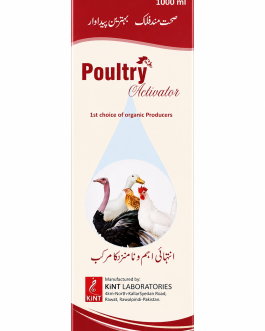 AVN PERK Poultry Activator – Best Poultry Supplement & Immunity Booster in Pakistan | Vet Prime International
