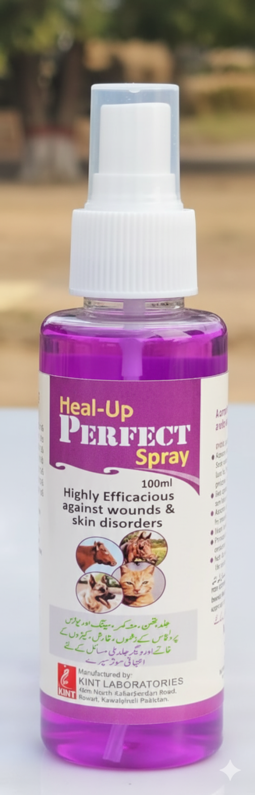 Heal-Up Perfect Spray – 100ml